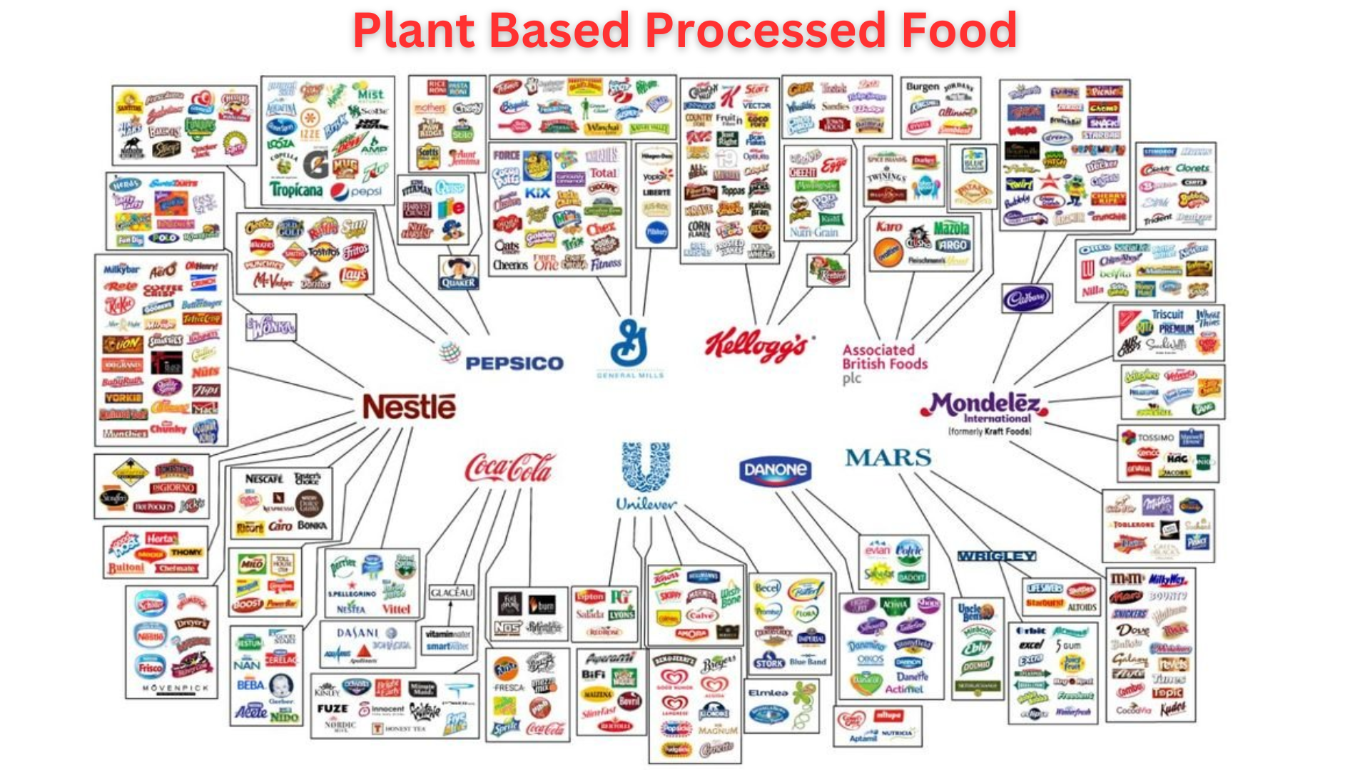 Plant Based Processed Food