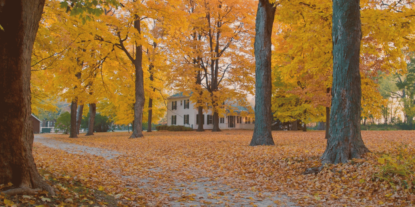 Fall Relaxing Home